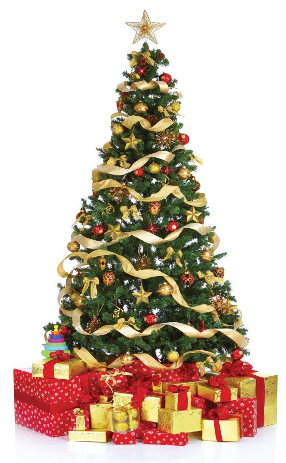 Christmas tree facts ObserverReporter